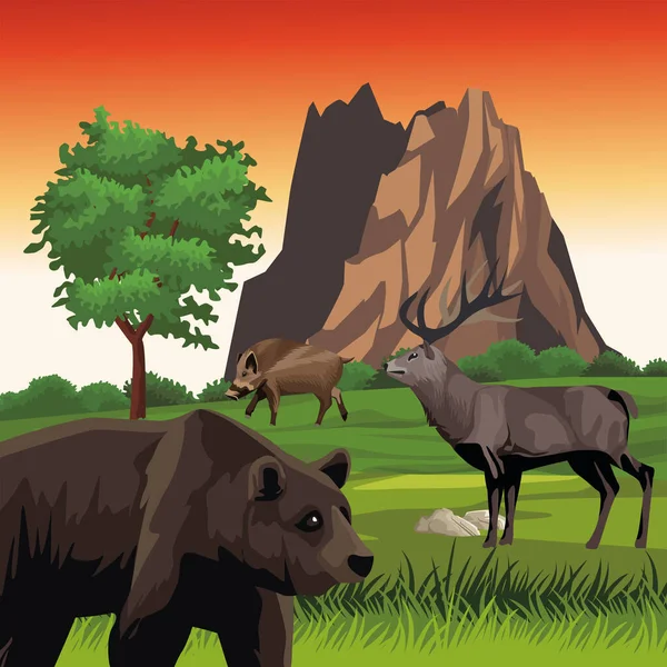 Oso y reno con cerdo salvaje en el paisaje — Vector de stock