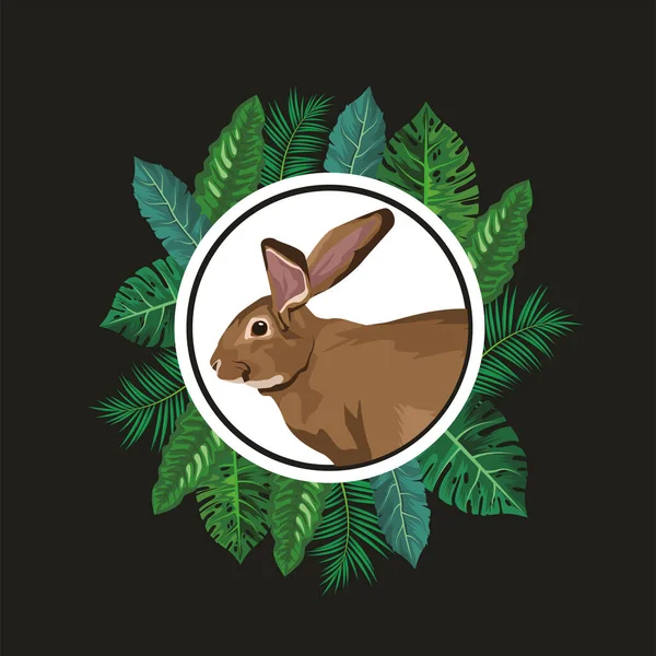 Lapin sauvage mignon dans le cadre de feuilles — Image vectorielle