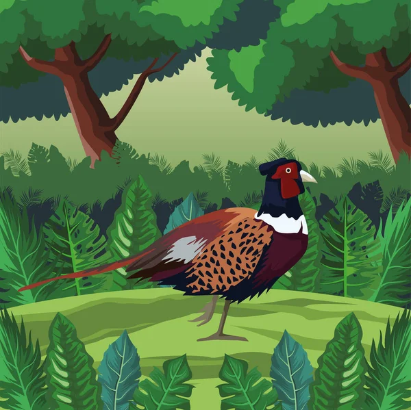 Дикий фазанський птах в ландшафті — стоковий вектор