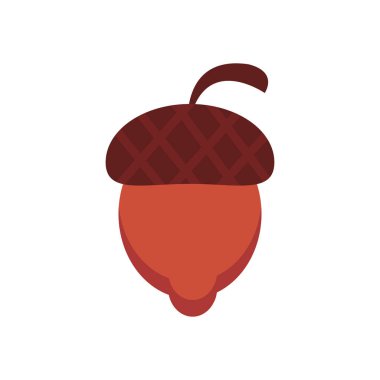 fındık tohumu düz biçim simgesi