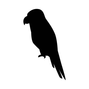 Vahşi tropik papağan doğa silueti