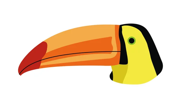 Animal salvaje cabeza de ave exótica tucán — Vector de stock