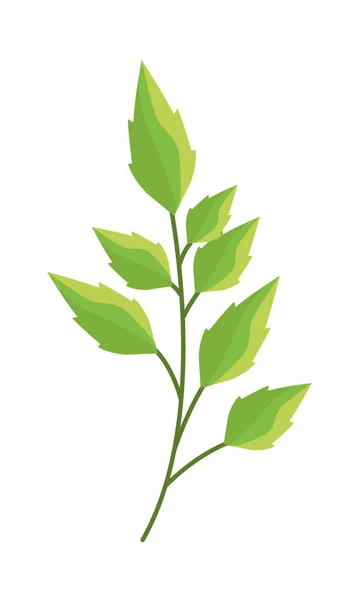 Ramo con foglie icona della natura — Vettoriale Stock