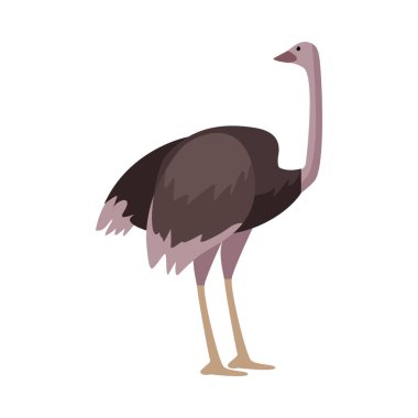 Vahşi devekuşu hayvan doğa ikonu