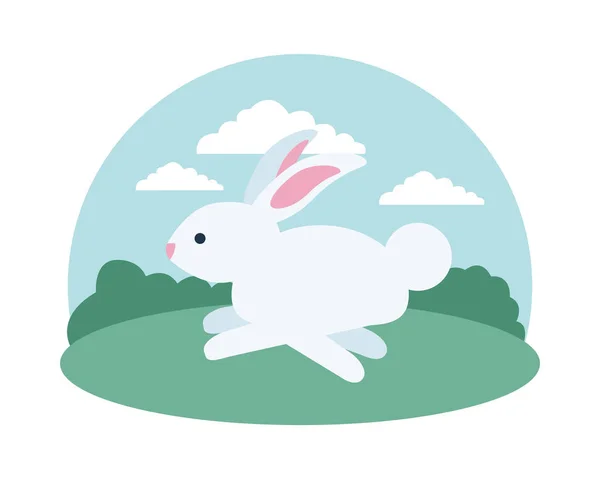 可爱的兔子在营地里奔跑 — 图库矢量图片