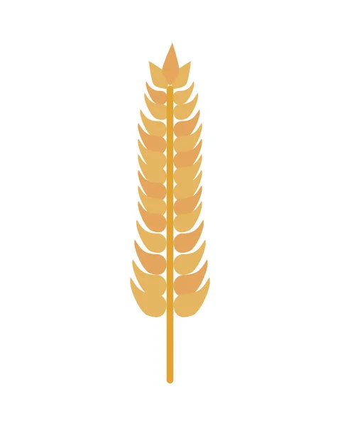 Orge blé pointe nature icône — Image vectorielle