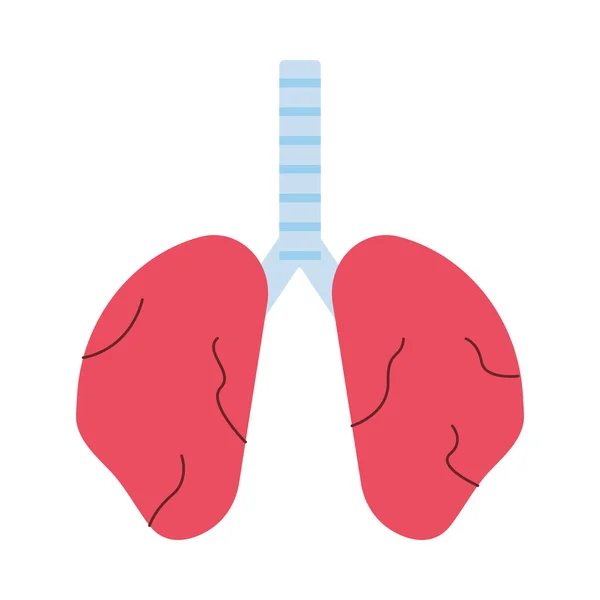 Akciğerler insan organı izole edilmiş simge — Stok Vektör