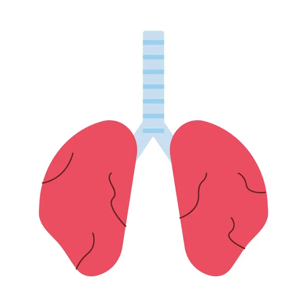 Longen menselijk orgaan geïsoleerd pictogram — Stockvector