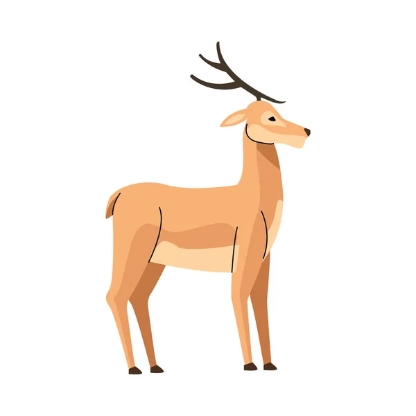 Wild reindeer animal nature icon — Stock Vector