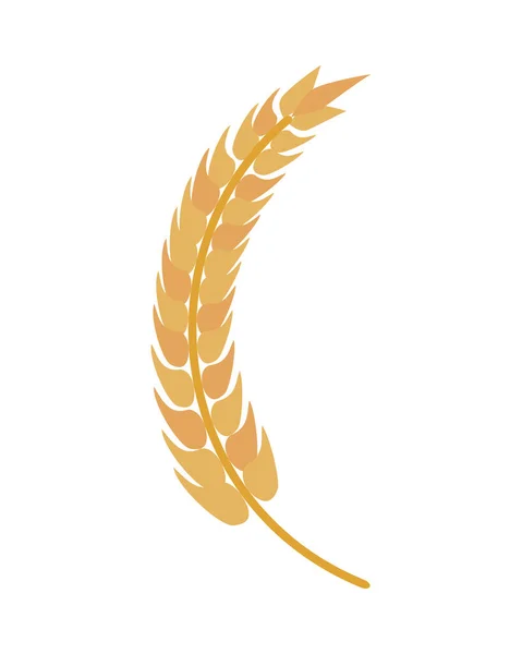 Значок природи ячмінної пшениці — стоковий вектор