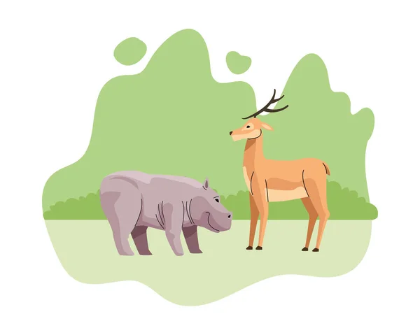 Hippopotame sauvage et animaux de renne icônes de la nature — Image vectorielle