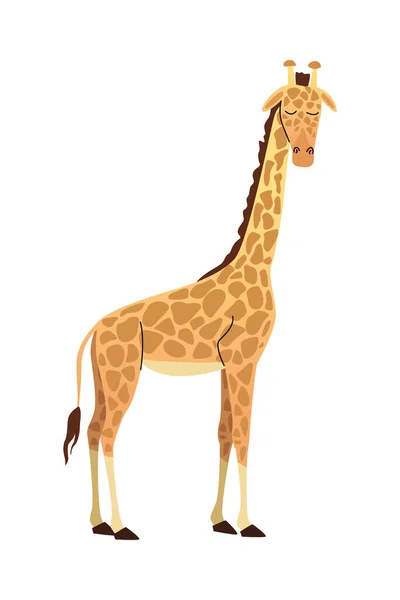 Vilda afrikanska giraff djur natur ikon — Stock vektor