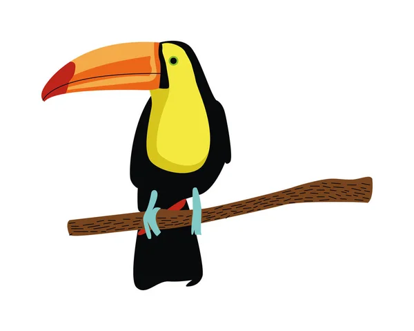 Animal salvaje de aves exóticas tucanas — Vector de stock