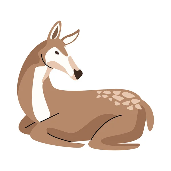 Wild fawn animal nature icon — Stock Vector