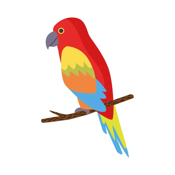 野生の熱帯性オウムの鳥の自然アイコン — ストックベクタ