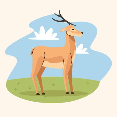 Tarladaki vahşi ren geyiği hayvanı