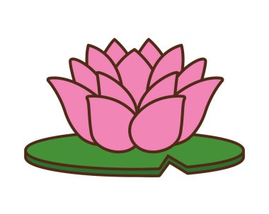 Pembe nilüfer çiçeği izole ikonu