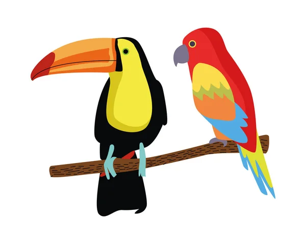 Papagaio tropical selvagem e pássaros tucano ícone da natureza —  Vetores de Stock