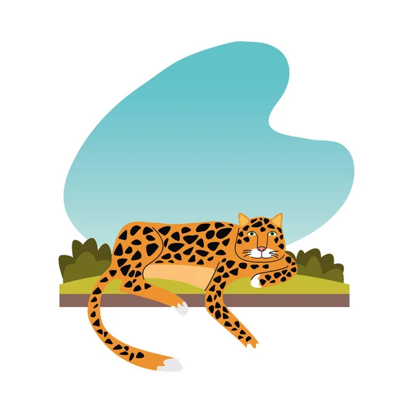 Wild leopard feline animal icon — Stock Vector