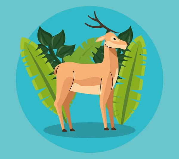 Wild reindeer animal and tropical leafs — Stock Vector