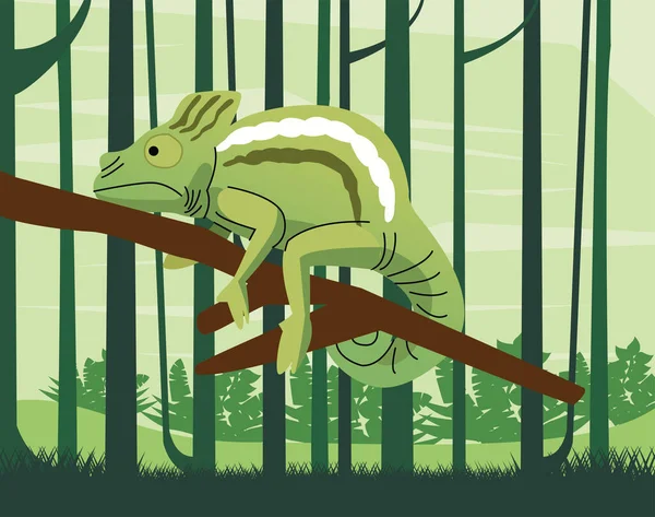 Animal camaleón salvaje en la escena de la selva — Archivo Imágenes Vectoriales