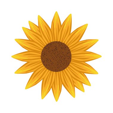 Güzel güneş çiçeği doğa ikonu