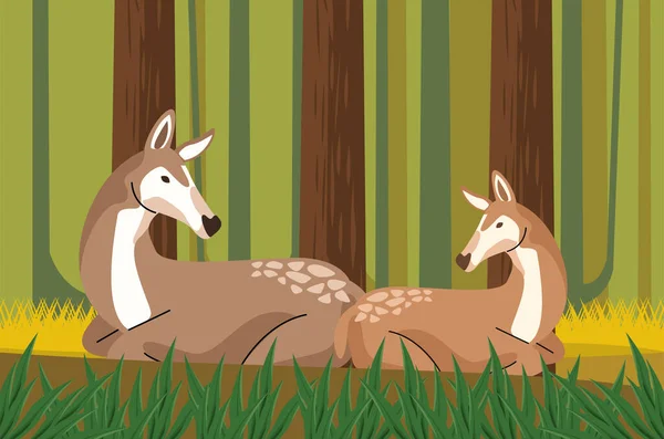 Wilde weiden dieren in het bos scene — Stockvector