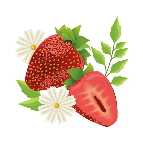 Fresas dulces deliciosas con flores y hojas — Vector de stock