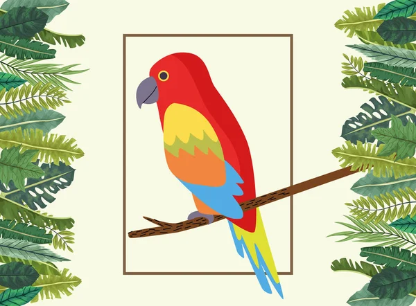 Vilda tropiska papegoja fågel natur i fyrkantig ram — Stock vektor