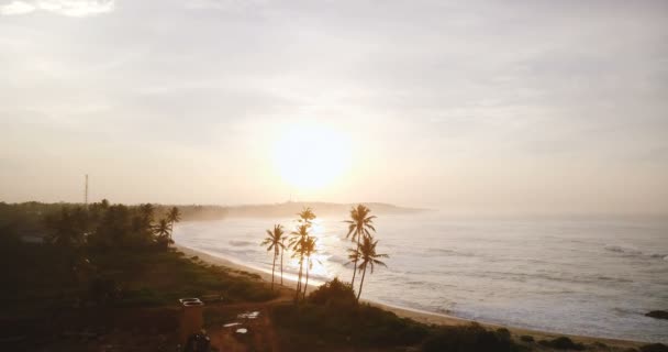 Drone volando hacia adelante a lo largo de increíble playa de atardecer tropical, pasando entre grandes palmeras, olas del océano llegando a la orilla . — Vídeo de stock