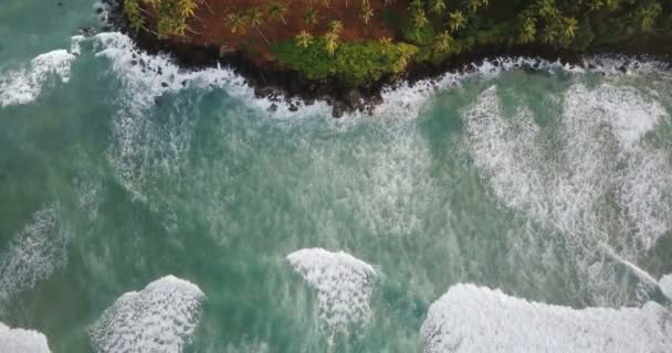 plan de verrouillage de vue de dessus de drone de belles vagues océaniques moussantes atteignant la côte exotique pittoresque avec des arbres tropicaux .