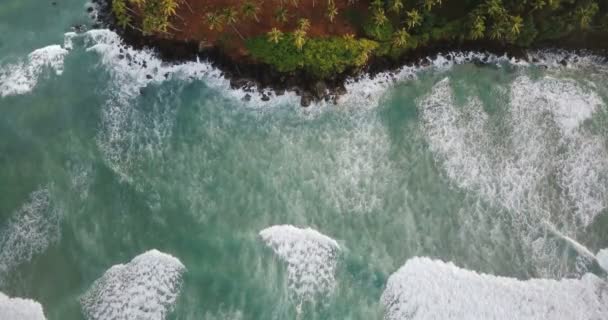 Drone vista superior bloqueio tiro de belas ondas do oceano espumante atingindo pitoresca costa exótica com árvores tropicais . — Vídeo de Stock