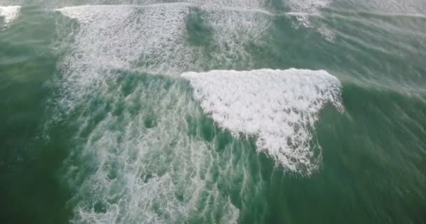 Increíble vista aérea de las olas del océano azul espumoso y estrellarse en la costa exótica con palmeras verdes isla tropical . — Vídeos de Stock