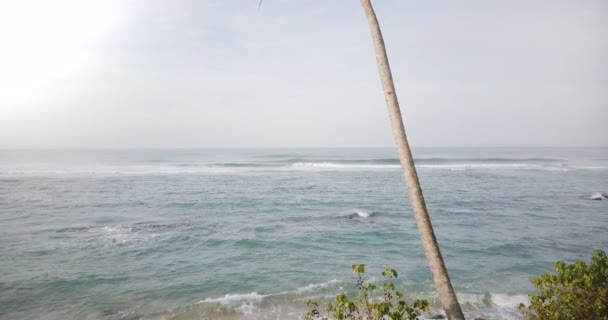 Drone che sale da terra sopra stupefacente sole oceano schiumante onde panorama per rivelare una sola palma con noci di cocco — Video Stock