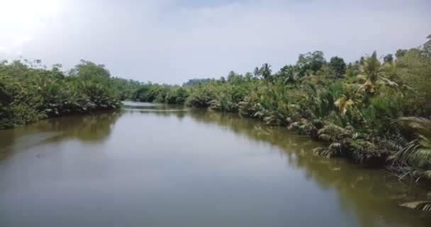 Drone flying over amazing wide calm river flowing in the rainforest jungle with tropical green bushes, turning left. — Stock Video