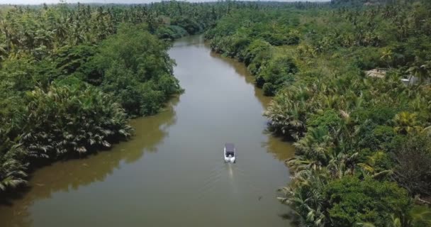 Drone siguiente, inclinarse hacia abajo en un pequeño barco blanco navegando a lo largo de hermoso río de la selva en el desierto con reflejos del sol . — Vídeos de Stock