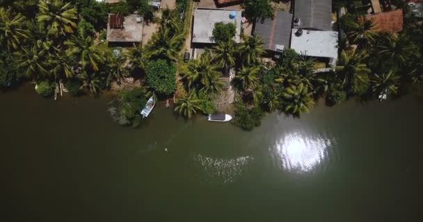 Vista superior dron volando hacia atrás por encima de hermosas casas de vacaciones de la costa tropical con exuberantes palmeras verdes en una orilla del río . — Vídeo de stock