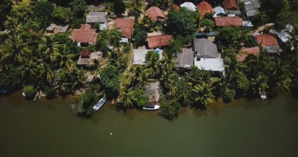 Drone vista aérea descendo sobre encantadores hotéis resort costa tropical em uma margem do rio selva com palmeiras verdes exuberantes . — Vídeo de Stock