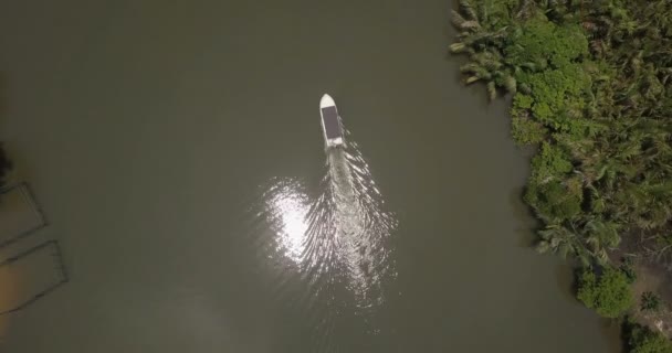 Top luchtfoto van witte bootje reizen langzaam langs mooie kalme jungle rivier met zon reflecties in de wildernis — Stockvideo