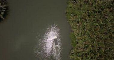 Üstten görünüm dron küçük beyaz tekne güzel sakin orman nehir banka yeşil palmiye ağaçları ile birlikte seyahat üzerinde yakınlaştırma.