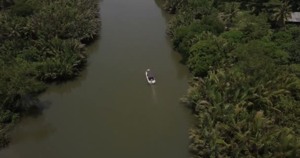 Pequeño barco safari blanco que navega lejos de la cámara del dron a lo largo del tranquilo río de la selva en medio de la naturaleza — Vídeos de Stock