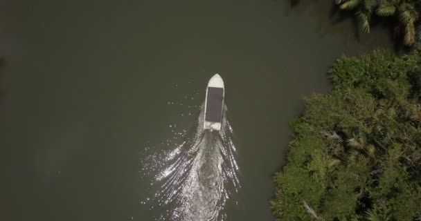 Vista aérea de un pequeño barco pescador blanco navegando a lo largo de un hermoso río selvático con reflejos solares en la selva tropical . — Vídeos de Stock