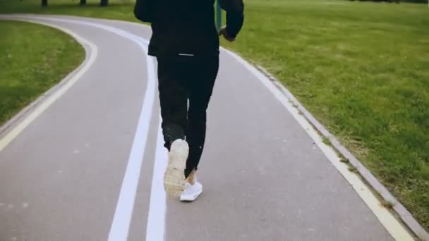 4k mannen springer längs en höst park road. Bakifrån. Sportsman jogging på en fredlig lugn park road gränd. Livsstil som sköt. — Stockvideo