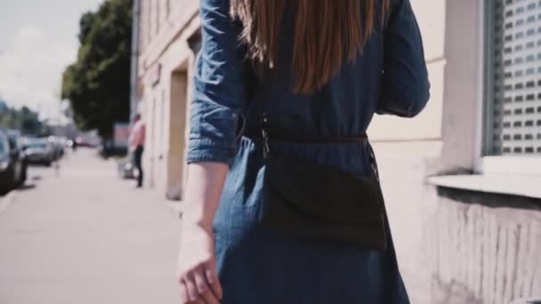 Achteraanzicht jonge vrouwelijke mode blogger in een blauwe jurk met lange haren en stijlvolle tas lopend langs straat Slowmotion. — Stockvideo