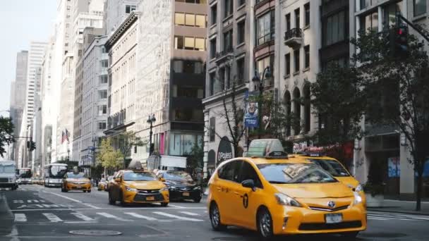 18 AGOSTO 2017 NUEVA YORK - Coches y taxis amarillos que pasan por la gran calle de la ciudad, a continuación, los peatones comienzan a cruzar . — Vídeo de stock