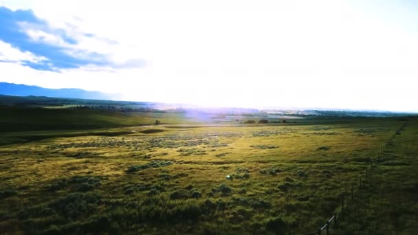 Drone turning left above magnificent peaceful grasslands, green plain prairie landscape with amazing blue sunny sky. — Stock Video