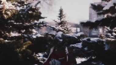 Sevimli küçük kızın arkasından karlı çam ağaçları ağır çekim kamera için çalışan kış giysileri içinde inanılmaz yakın çekim vurdu.