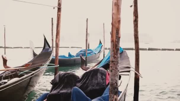 Nahaufnahme wunderschöner traditioneller Gondelboote mit Regenhüllen, die auf großen Wellen am Pier in Venedig schaukeln. — Stockvideo