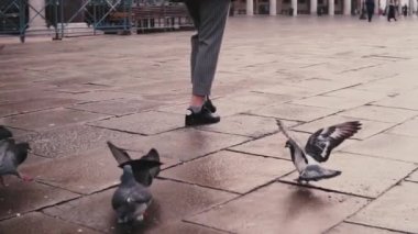 Mutlu heyecanlı kadın turist kamera ile Eski Şehir Meydanı ve sürü güvercin Venedik, İtalya, ağır çekimde yürür.