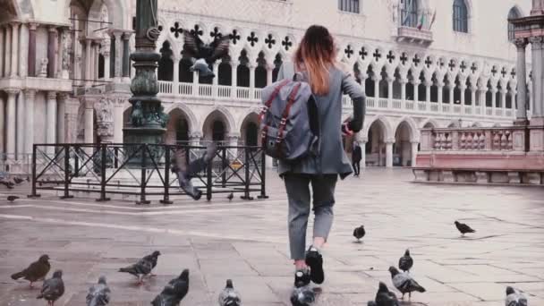 Rückseite glücklich modische weibliche touristin spaziert auf san makro platz mit tauben auf armen sitzen in venezianischer zeitlupe. — Stockvideo